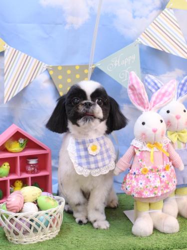 20240320たいがくん